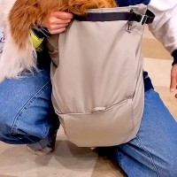 『抱っこ紐』を犬に見せた結果→『抱っこしてほしい』と訴えて…自分のサイズがわかっていない光景が49万再生「愛おしすぎ」「ニコニコ可愛い」