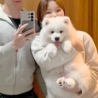 軽々と抱っこできていた赤ちゃん犬→10ヶ月後…1歳になった姿が『あまりにもデカすぎる』と80万再生「どんどんもふもふに」「成長速度やばい」