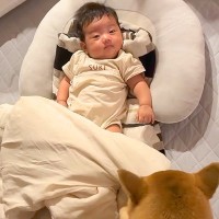 赤ちゃんが泣いているとすぐに駆け付ける犬→転がっている時には『お布団』を…愛おしすぎる光景が13万再生「素敵なお兄ちゃん」「ほっこりした」