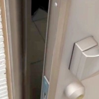 3匹の大型犬を『室内フリー』にした結果→玄関のドアを開けた瞬間…目に飛び込んだ『幸せの光景』が8万再生「可愛すぎる」「最高のお出迎え」