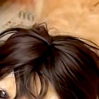 おもしろ半分で『大型犬にカツラを買ってみた』結果→思わず二度見する『似合い過ぎな光景』が66万再生「新橋にこういう人おる」「分け目ｗｗ」