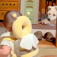 赤ちゃんと遊んでいたら、なぜか陰から『おばあちゃん犬』が…尊すぎる『仲間に入れてほしいと言っている光景』が23万再生「素敵で泣いた」