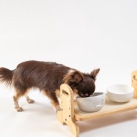 犬のための『食事台』選び方のポイントとは？サイズが合っていない場合のデメリットまで