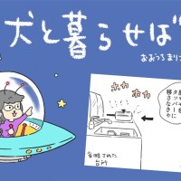 犬と暮らせば【第561話】「冴えわたるエマ」