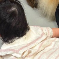 寝転がるパパに赤ちゃんが近づいた結果→『パパが盗られちゃう！』と焦った犬が…想定外の行動に爆笑「愛で窒息するｗｗ」「嫉妬してて可愛い」