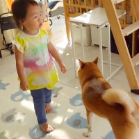 犬のおもちゃを洗濯した結果→『どこにいったんだろう？』と必死に探し、2歳の女の子も一緒になって…愛おしい行動に反響「本当の姉妹みたい」