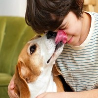 犬が飼い主のことを『舐める』理由5選　ペロペロと舐め続ける心理や注意点まで解説