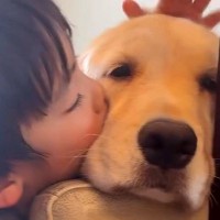 5歳の男の子が『大型犬と暮らした』結果→まるで本当の兄弟のようで…尊すぎる『ふたりの記録』が59万再生「癒しコンビ」「なんて可愛いの」