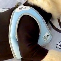 大型犬の子犬を『公園に連れて行った』結果→『遊び回るかな』と思ったら…まさかの『赤ちゃんすぎる光景』が135万再生「可愛すぎてほっこり」