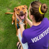 『内弁慶な犬』の共通点6選　内向的な性格に育つのはなぜ？他の犬と仲良くさせる秘訣まで
