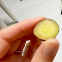 『蒸した芋』を犬に食べさせようとした結果→勢いあまって…まさかの『人間のような姿勢』に6万いいね「可愛いｗｗ」「真剣な顔してて笑った」