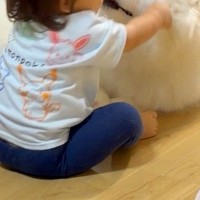 赤ちゃんと大型犬が遊んでいたので、撮影した結果→お顔を見てみると…大人には見せない『表情』に15万いいね「幸せでしかない」「尊すぎます」