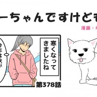 ちーちゃんですけどもっ【第378話】「秋を感じて君を想う」