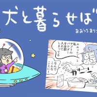 犬と暮らせば【第562話】「悪夢」