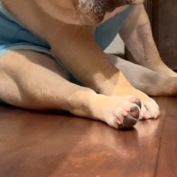眠たそうな犬を撮影した結果→なぜか『必死に起きよう』としていて…もう寝てほしい『限界すぎる光景』が36万再生「何故に戦う？ｗ」「天使」