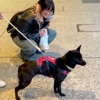 犬と一緒に『娘を空港までお迎えに行った』結果→なぜか無視されて…気付いた瞬間の『大歓迎』に反響　全力の"おかえりなさい"に思わずほっこり