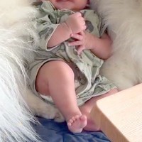 ヤンチャな39キロの大型犬に『赤ちゃんの子守をお願いした』結果→あまりに尊い『予想外の光景』が41万再生「可愛いが詰まってる」「眼福」