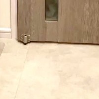 玄関に犬がいたのに気づかず、ドアを閉めてしまった結果→視線を感じたので、振り返ると…『まさかの光景』に反響「怖い怖いｗ」「圧すごくて草」