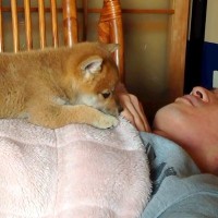 『パパ、まだ起きないのかなあ』お父さんの起床を待つ赤ちゃん犬→14年後…あまりに尊い『現在の光景』が9万再生「理想的な幸せ」「感動した」
