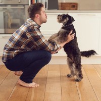 犬は人に『赤ちゃん言葉』で話しかけられたときどう思う？愛犬が反応しやすい声かけの仕方まで