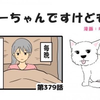 ちーちゃんですけどもっ【第379話】「供養のお話」