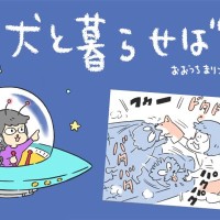 犬と暮らせば【第563話】「激しく遊んだ結果」