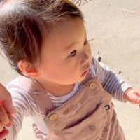1歳の女の子が『初めて歩いて家に帰った』結果→窓を見ると『2匹の大型犬』が…『尊すぎる光景』と帰宅後の反応が29万再生「️感動」「涙出る」