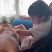 海外に行くため『犬を実家に預けた』結果→『寂しがってしまうかな』と心配していたら…『想像と違いすぎる光景』に反響「イキイキｗ」「楽しそう」