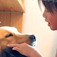 小学校から帰ったら『大型犬』のもとに行く男の子→すぐにお話を始めて…泣けるほど『微笑ましい光景』が240万再生「可愛いが大爆発してる」