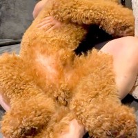 お父さんに甘える大型犬が『全体重』を預けてしまい…自分のサイズが分かっていない光景と『尊い表情』に反響「うっとりーぬｗ」「悶えてて草」