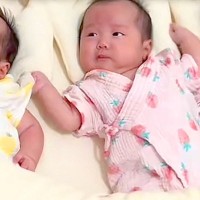『ある日突然、三つ子が家にやってきた』赤ちゃんたちが家族になったら、犬が…愛おしい『現在の光景』が18万再生「幸せ4倍」「なんか涙でた」