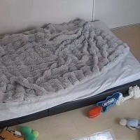 出張のため『犬と離れ離れになった』結果→気になって『部屋のカメラ』を覗いてみると…今すぐに帰りたくなる光景が26万表示「健気…」「切ない」