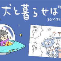 犬と暮らせば【第564話】「裏切りという名の山」