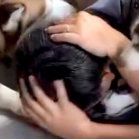 突然『助けて！』と夫の叫び声→すぐに駆け付けたら『大型犬の赤ちゃんたち』が…まさかの光景に絶賛続々「羨ましい以外にない」「私もされたい」