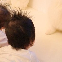マヂカルラブリー村上の愛犬が『双子の赤ちゃんに見つめられた』結果…「村上さんに似てて草」あまりにも『気まずそうな表情』に2万いいね