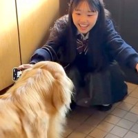 朝、学校の準備をする女の子→大型犬がそばで寄り添い、出かけた瞬間…『切なすぎる表情』と『帰宅後の光景』が85万再生「相思相愛」「泣ける」
