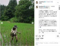 ローラ、ショーパン姿での草取り作業ショット公開！「素晴らしい活動」「ナチュラルで素敵」