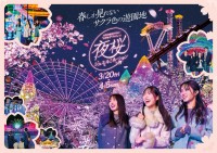 よみうりランド、桜のライトアップと宝石色のイルミが輝く「夜桜ジュエルミネーション」3月20日より開催！