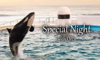 鴨川シーワールド、閉館後の特別なシャチパフォーマンス「Special Night with Orca」開催決定！