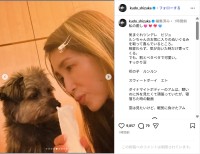 工藤静香、「私の癒し」愛犬たちの最新ショット公開！「幸せな世界」「カワイイがいっぱい」