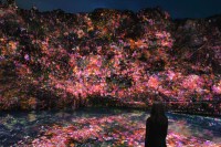 千葉・養老渓谷で夜の野外アート展「チームラボ 養老渓谷」4月17日より開催！