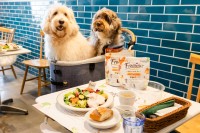 愛犬とおそろいの素材の食事が楽しめるドッグカフェが横浜に！　ユニ・チャーム「Frecious 素材実感Cafe」が期間限定で開催